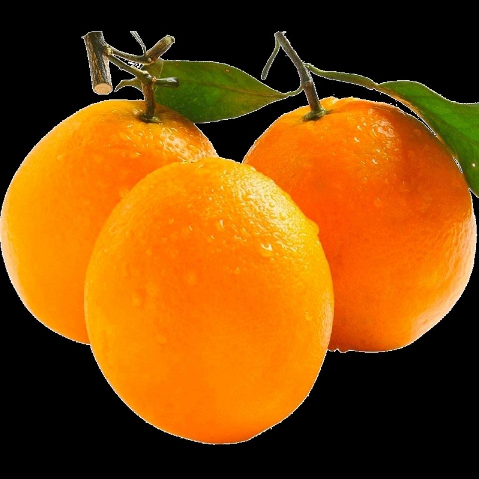 脐橙水果新鲜应季水果橙子橘子非爱媛38号果冻橙冰糖橙甜精选特级果