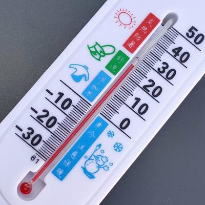 气温计农业大棚养殖长条干湿计室内外多用途壁挂温湿度表高精准 卡通