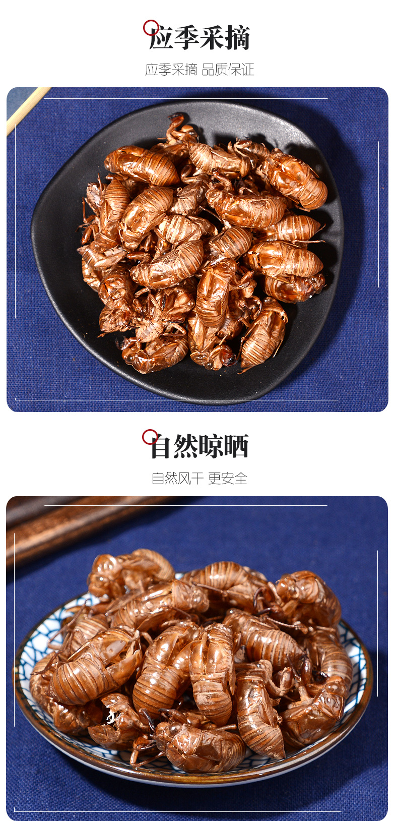 【官方旗舰】中药材蝉蜕知了皮100g蝉衣蝉壳虫蜕虫退爬了猴壳金蝉衣