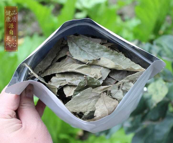 野生青钱柳茶 百年古树青钱柳养生茶成叶茶 金钱柳 3袋装共1斤【图片