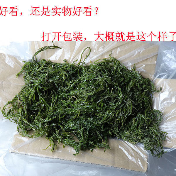 威海薄海带芽 长寿菜 马尾藻海带苗 嫩海藻菜 韩式海带汤 尝鲜500g