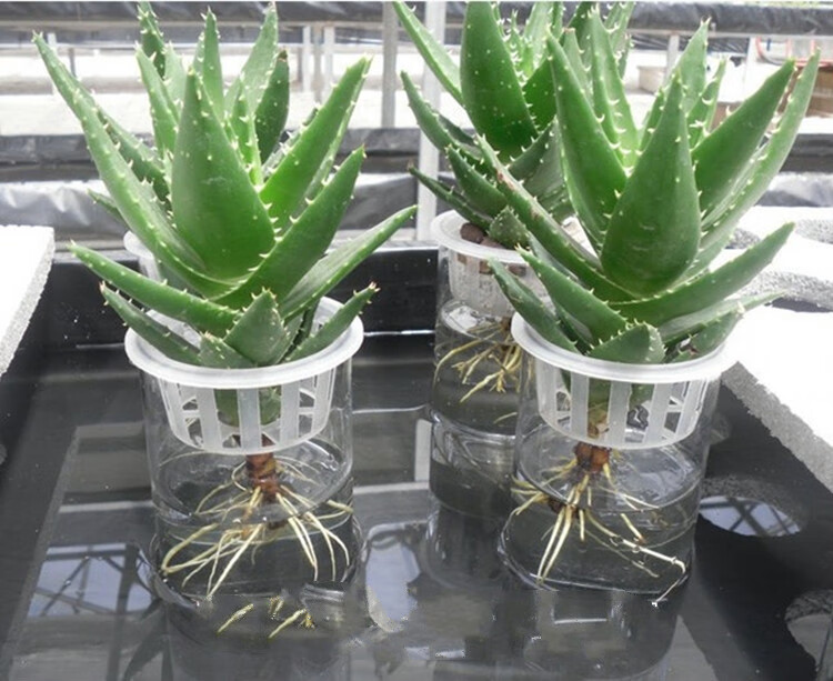 芊阙 水培定植篮圆形正方形加深超深浅型无土栽培花卉盆栽固根器固定