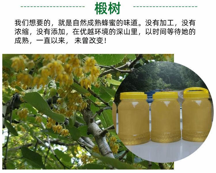 自产结晶白蜜土蜂东北黑蜂雪蜜 液体椴树蜜(500克一瓶)【图片 价格