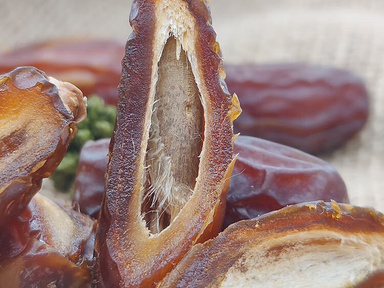 椰枣 阿拉伯进口 天然 新疆迪拜以色列蜜枣 甜波斯枣 一斤【500克】