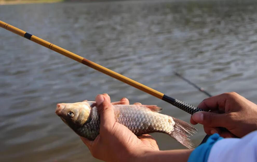 【jd优选】鲫鱼竿超轻超细竹子手竿钓鱼竿28调超硬仿竹节鱼杆37调碳素