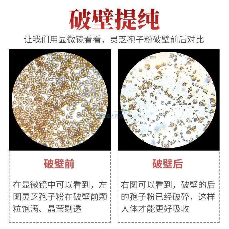 a5c289077ea19baa.jpg
