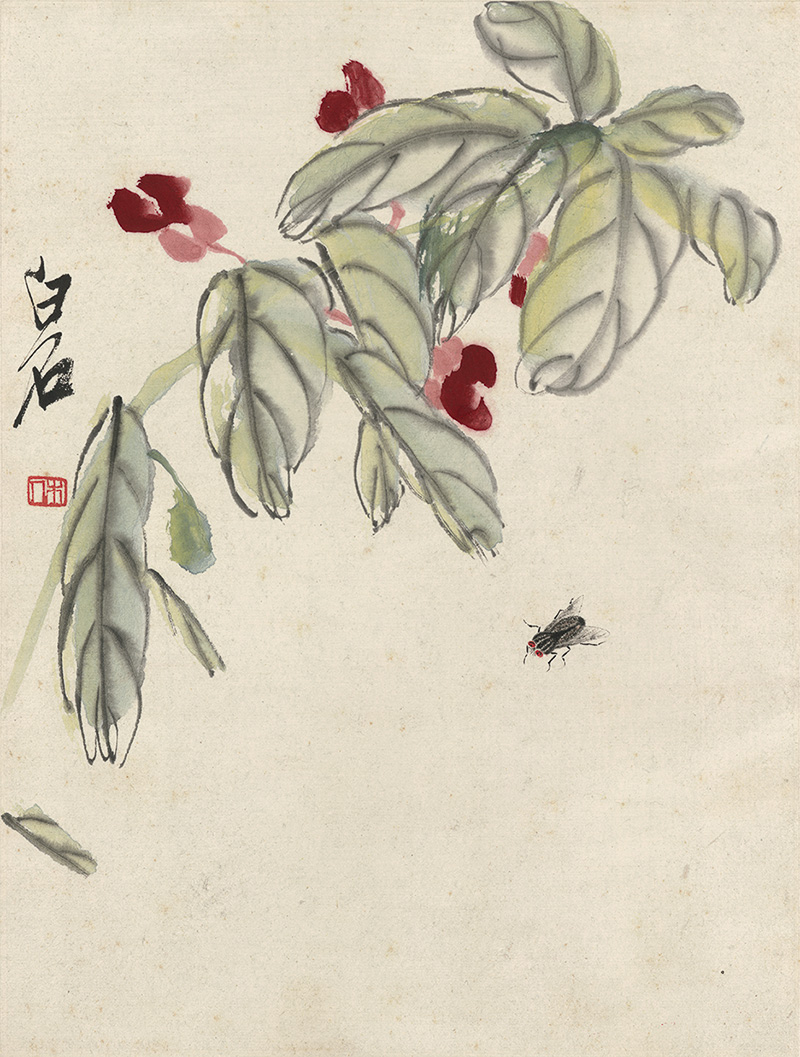 国画作品赏析美术绘画画集画册绘画图录齐白石草