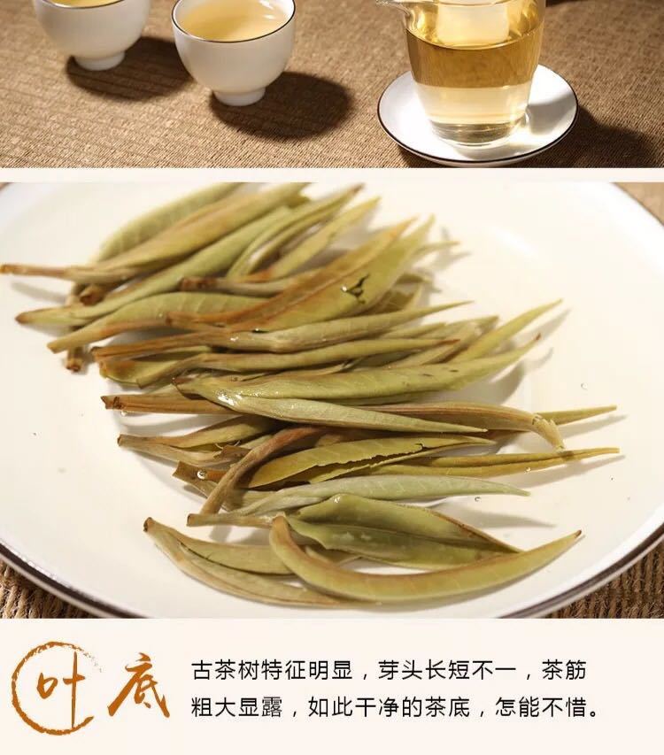 茗老汉 云南普洱生茶基诺山普洱基诺山单芽全嫩芽357茶饼清香型 茶饼