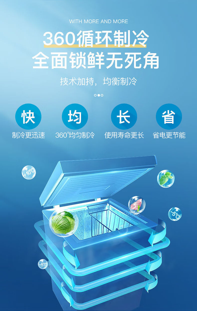 夏新家用冷柜小冰柜家用小型迷你冷冻柜商用大容量节能保鲜两用we63s