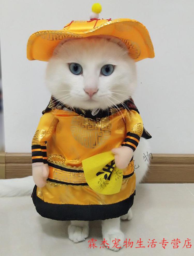 抖音同款网红猫咪衣服英短小猫蓝猫幼猫搞笑搞怪装秋冬季宠物服饰