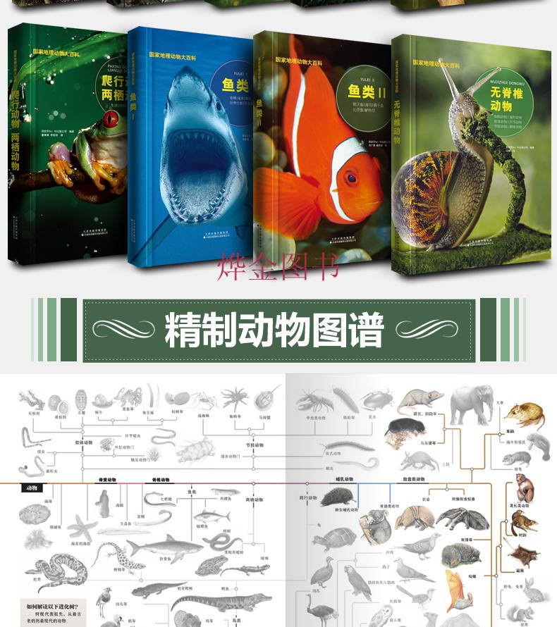 《正版 哺乳动物1 大开本精装 国家地理动物大百科单孔目有袋目灵长类