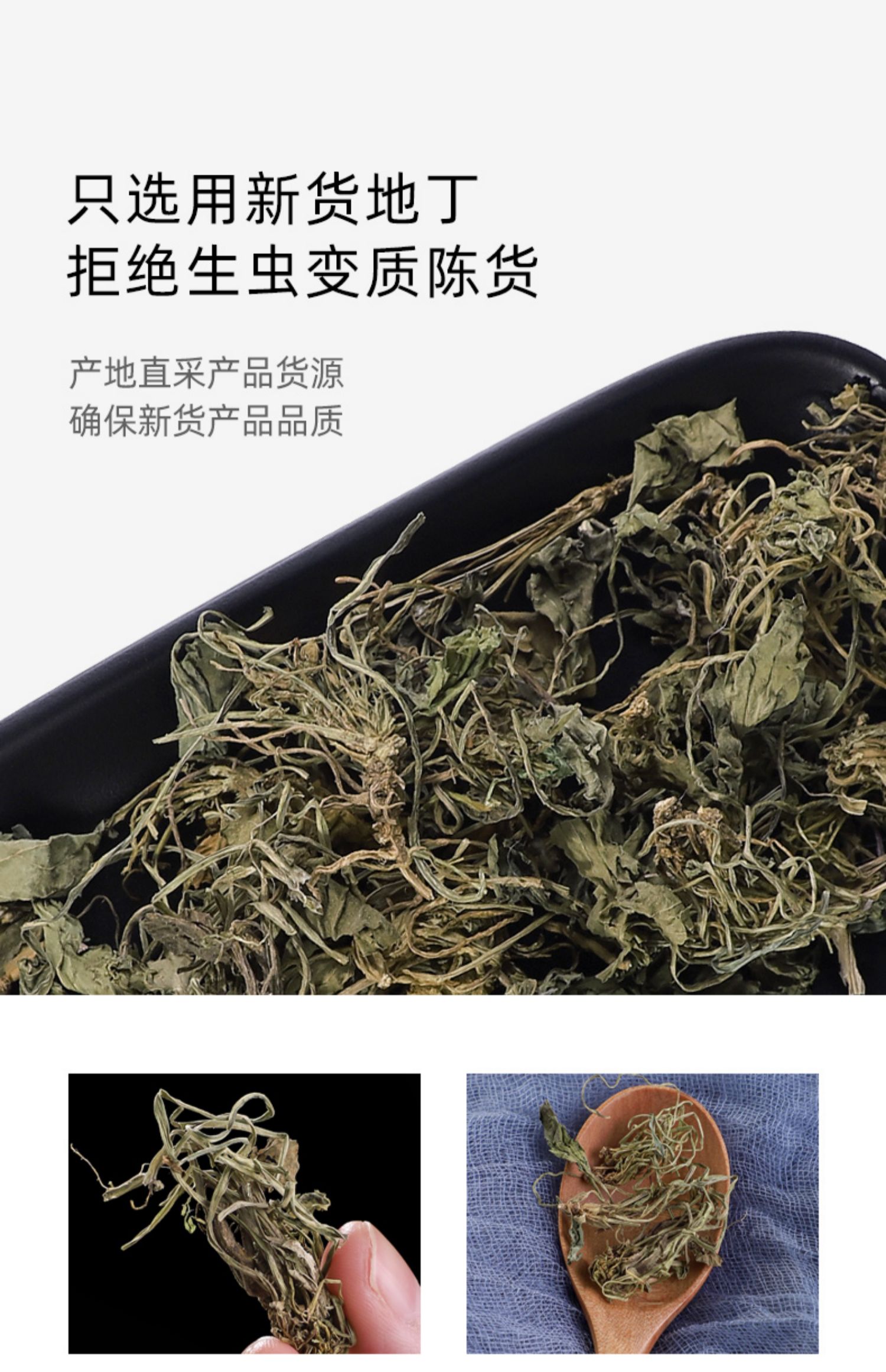 同仁堂同仁堂地丁草新鮮500g紫花地丁草藥新鮮乾貨中藥材非特級紫地丁