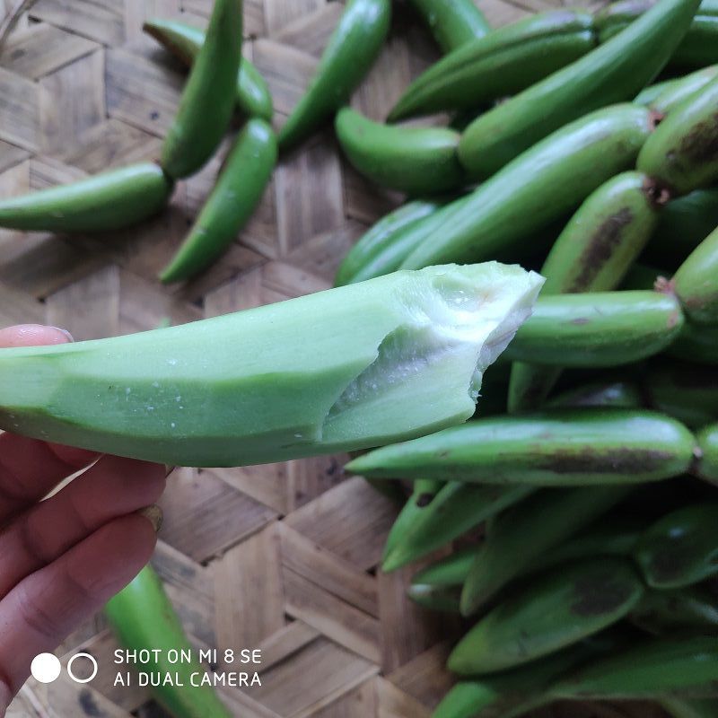 新鲜羊排果云南西双版纳特色酸果牛角果傣哈尼布朗野生酸果送辣子新鲜