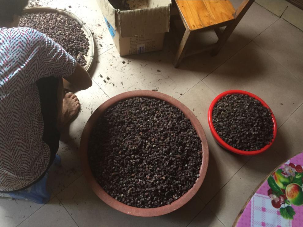 康中尊广西山稔子干捻子干岗捻子干桃金娘干果山念果泡酒500g