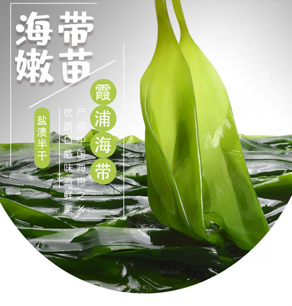 辰颐物语海带嫩苗新鲜脆嫩盐渍小海带苗嫩芽火锅凉拌炖汤霞浦特产1袋