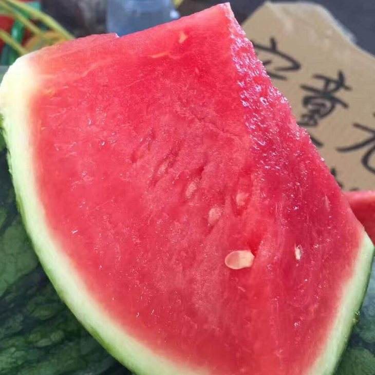 蜜童无籽西瓜农家自种自然成熟中小皮薄西瓜水果非8424麒麟西瓜子 两