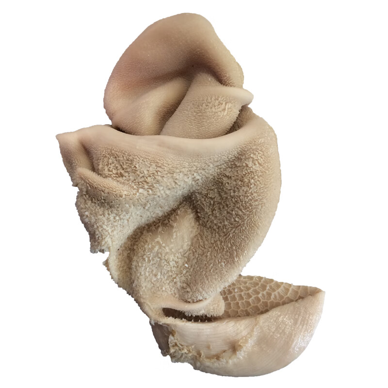 新鲜羊肚净羊肚羊杂羊肉干货2个