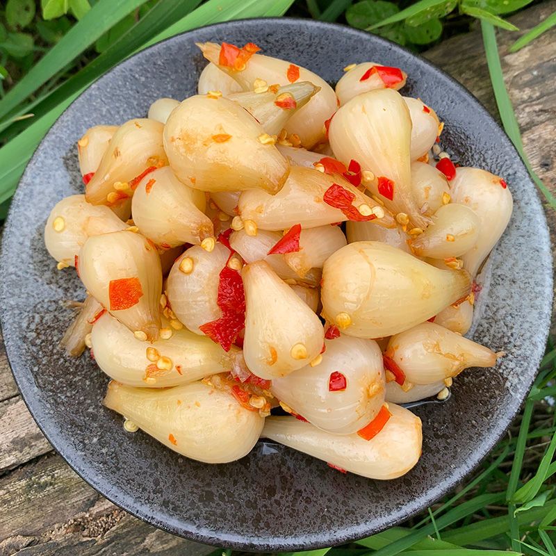 江西特产酸辣荞头新鲜酸辣脆藠头下饭菜辣椒酱泡菜酱菜 酸辣荞头1瓶