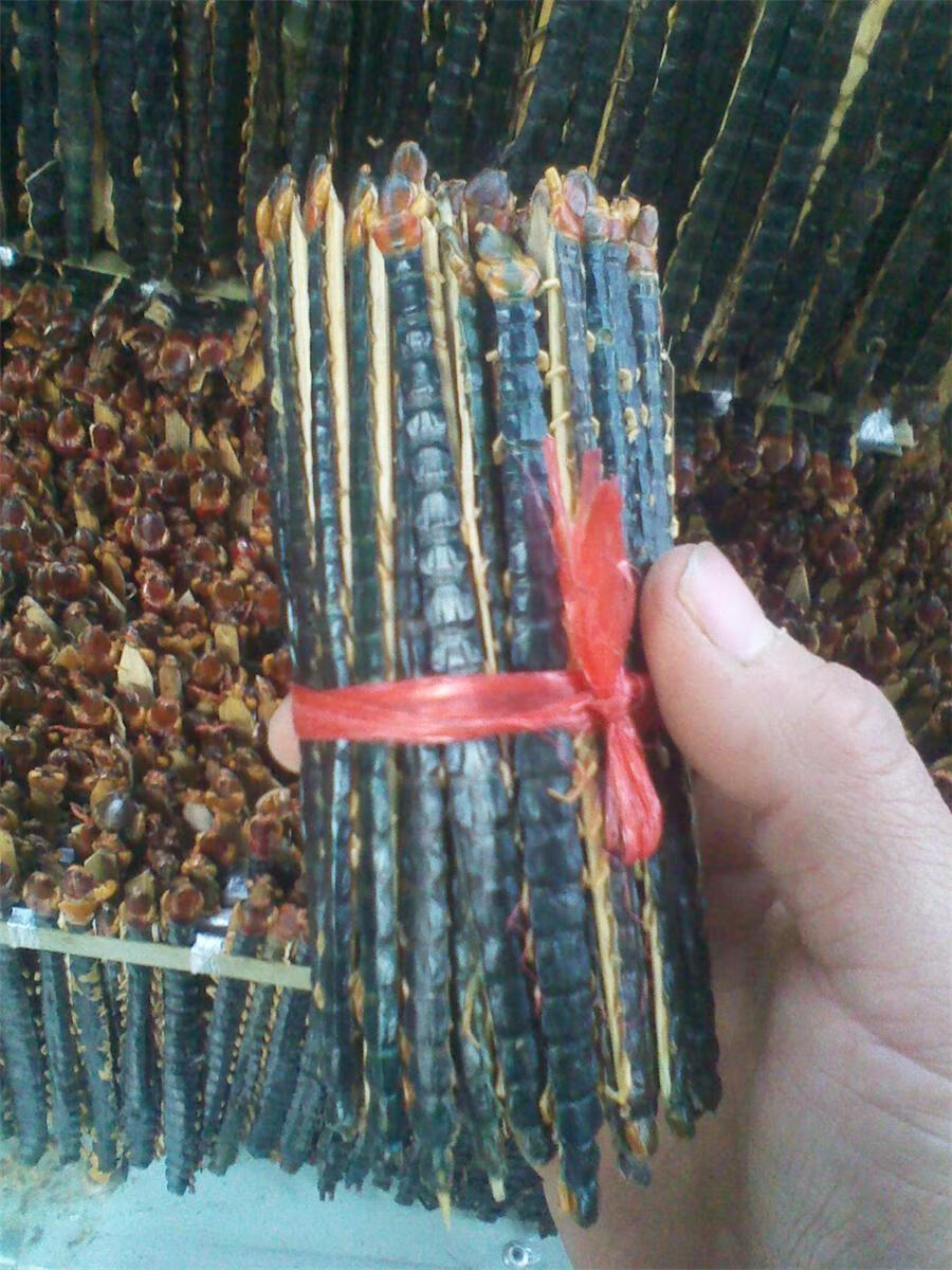 蜈蚣中药材蜈蚣泡酒蜈蚣干各种规格蜈蚣整条大货红头蜈蚣 10条 10-11