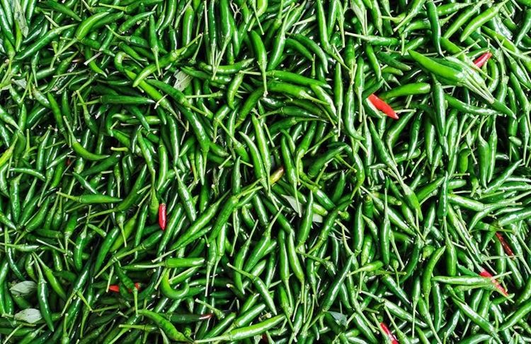 新一代朝天椒超辣青辣椒小米椒新鲜山东薄皮青半斤尝鲜装