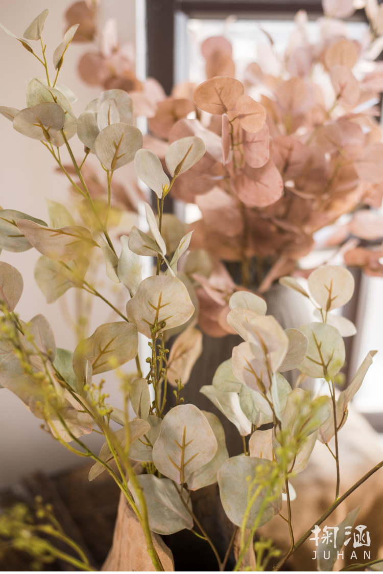 掬涵ins尤加利叶多色入仿真绿植桉树叶花艺装饰插花摆件散叶尤加利绿