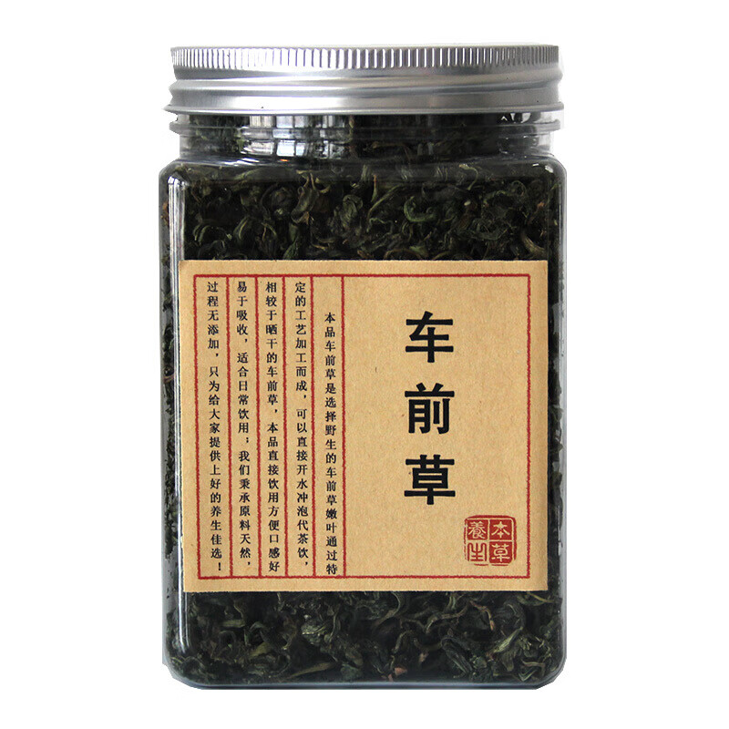 車前草茶新鮮車前子葉茶嫩葉炒車前草葉子泡茶80g