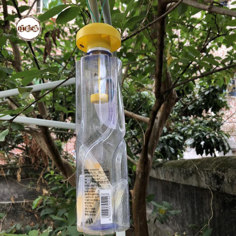 江影清果实蝇引诱剂器药水诱饵针蜂桔小实蝇水果园菜地蔬果防虫诱虫瓜