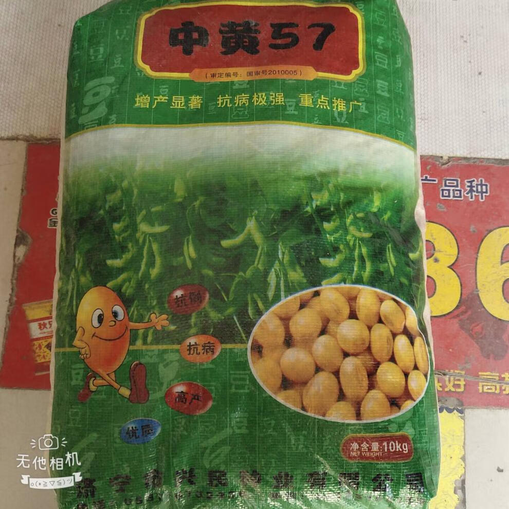 黄豆种子高产中黄13中黄57高产亩产千斤农户大面积种植大豆种中黄3720