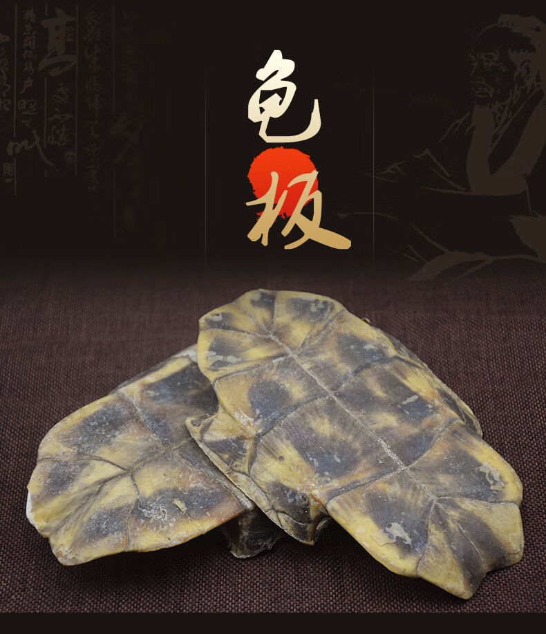 整个生龟板500克旱龟板龟甲龟壳鳖甲底板非炙龟板中药材龟板500克一斤