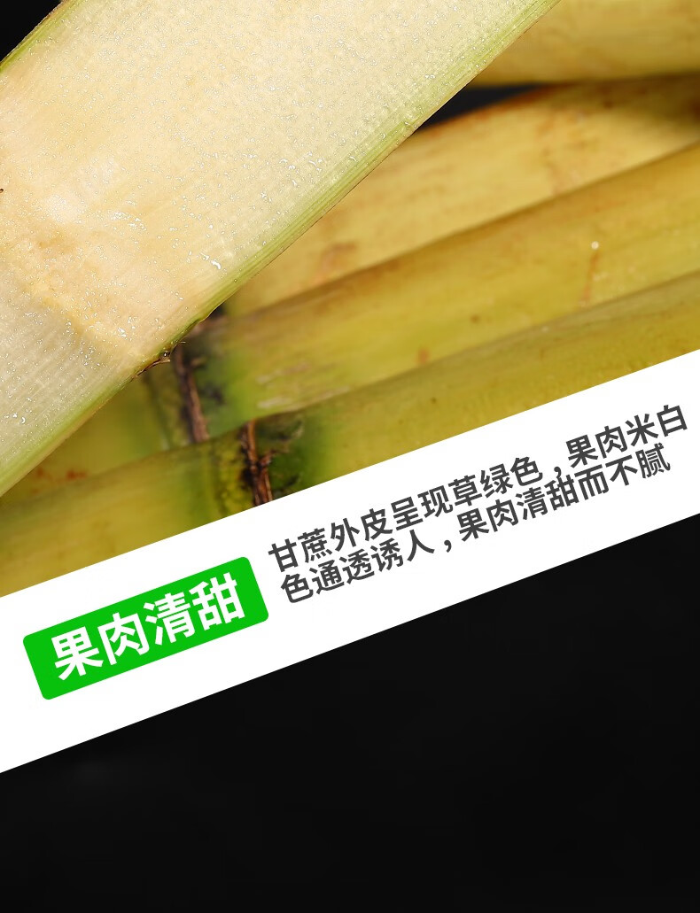 青毅果广西黄皮甘蔗9斤农家脆甜甘蔗新鲜水果