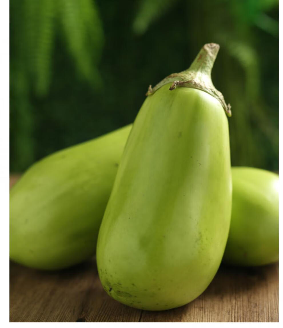 东北特产大绿茄子农家自种新鲜现摘绿皮茄子生吃青茄蔬菜 5斤 5斤