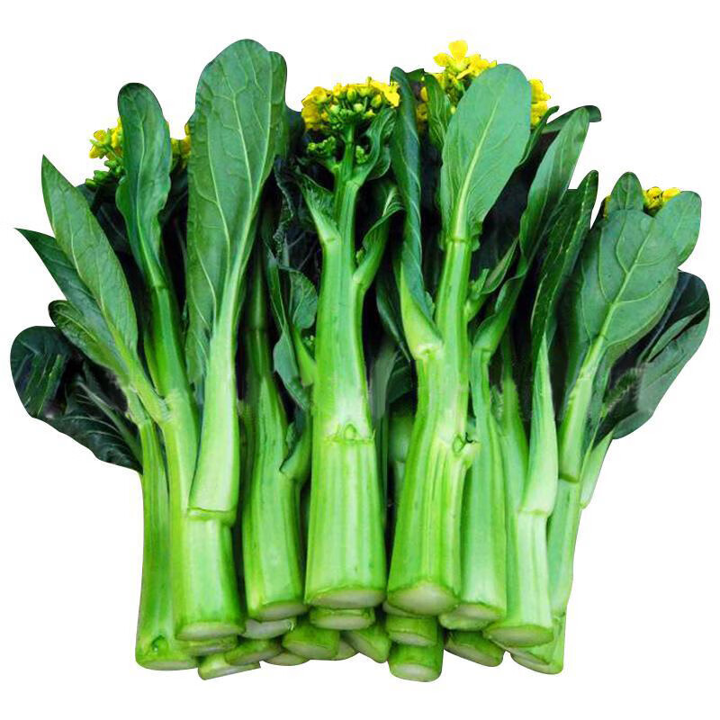 油青甜菜心种子四季播菜心种籽阳台盆栽大田农家菜园易种蔬菜种孑 日