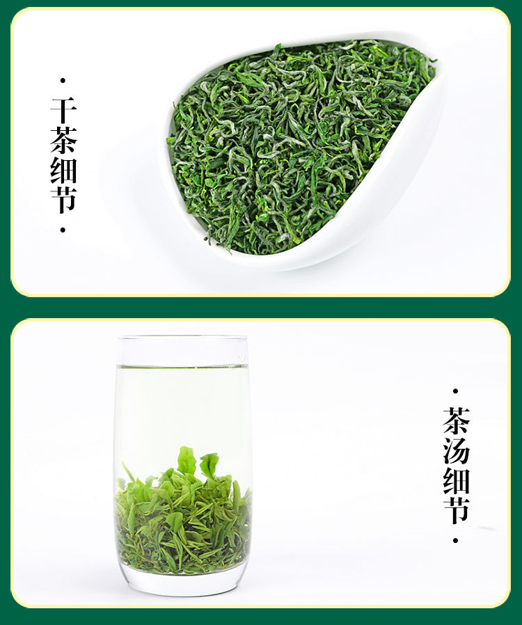 新茶特级日照精品绿茶袋装春茶云雾春茶浓香型500g 2021年高山云雾