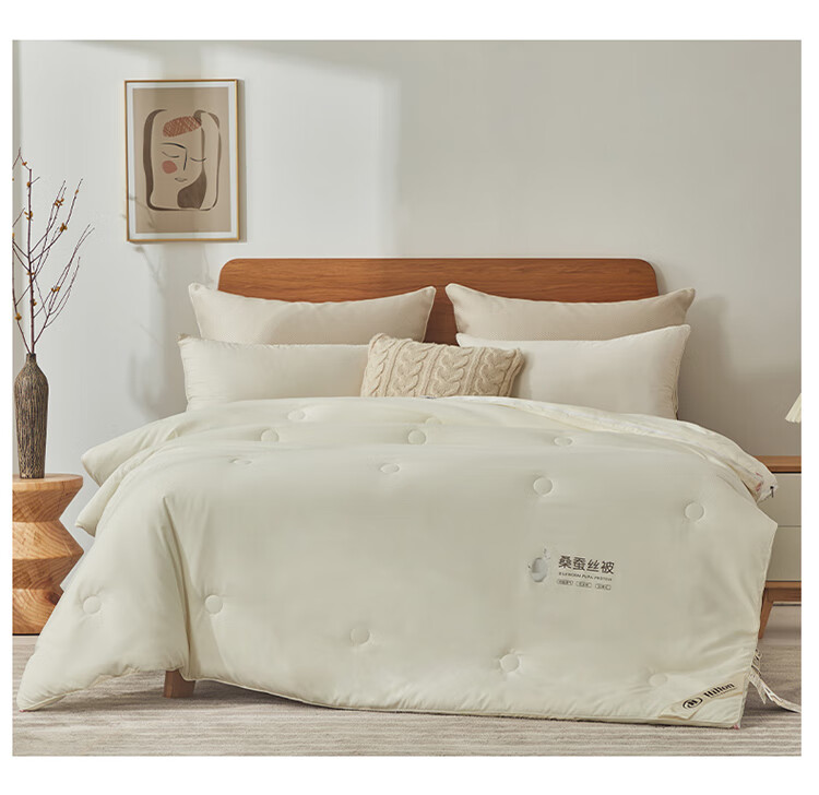 希尔顿蚕丝被冬被希尔顿桑蚕丝被子母被二合一拉链款学生宿舍被芯春秋
