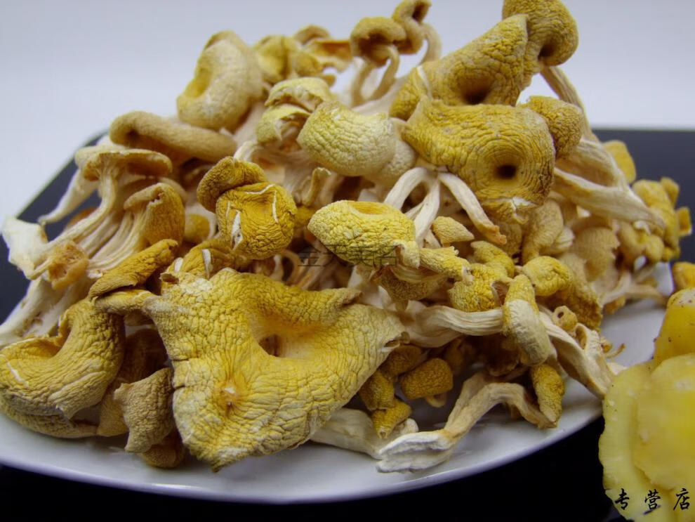 橙伯乐 榆黄蘑长白山特产山珍玉皇蘑小蘑菇东北特产干货250g100g 半斤