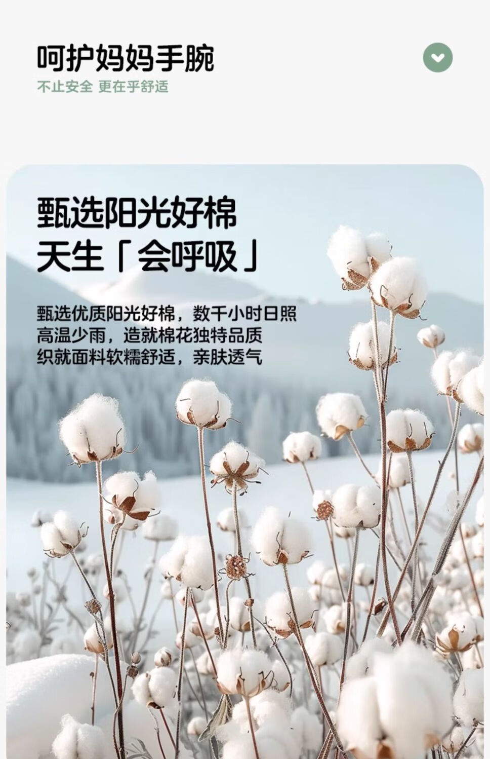 827d2f31e903c06a.jpg
