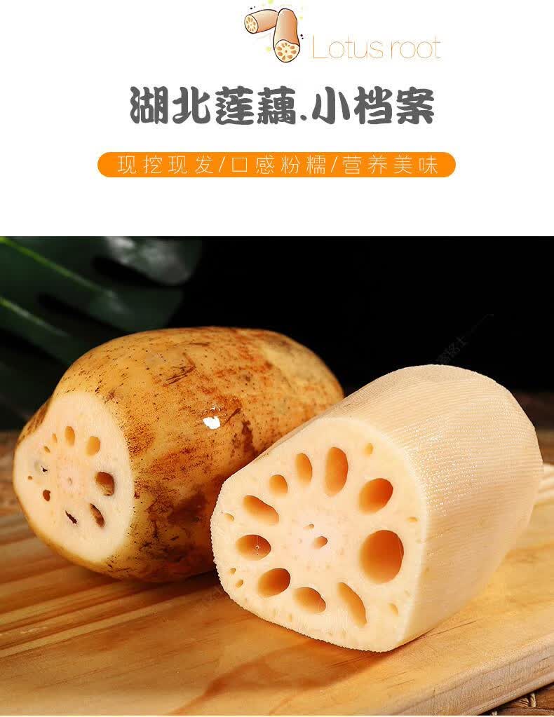 洪湖莲藕粉藕新鲜煲汤莲藕湖北带泥巴粉糯现挖深水九孔糯米藕 10斤