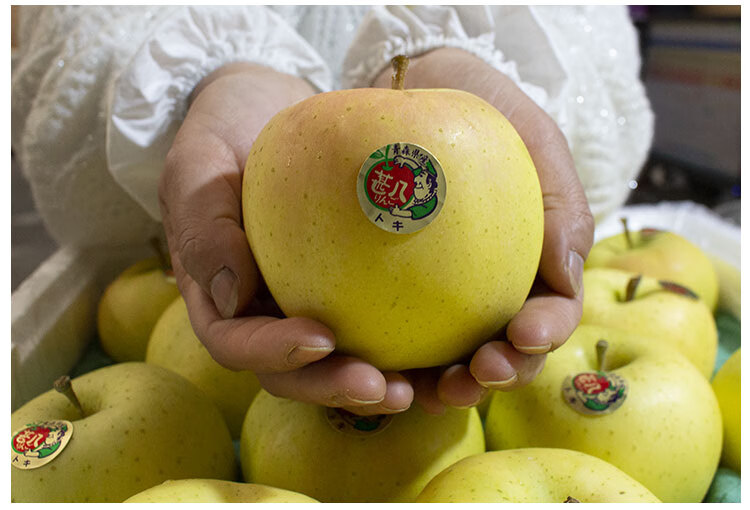日本王林苹果大果新鲜水果6个当季青森水蜜苹果 非新疆王林生鲜团购