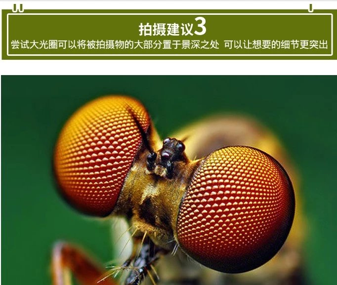 佳能200d1300d1500d4000d相机配件偏振镜 星光镜 近摄镜 uv镜 72mm