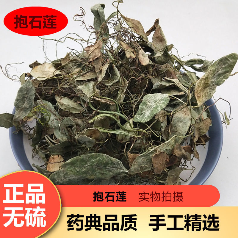 抱石蓮中藥材抱樹蓮瓜子菜金龜藤飛蓮草魚鱉草500克500g