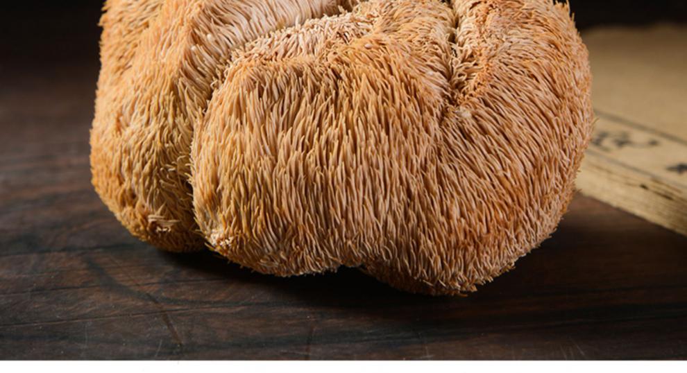 长白山猴头菇干货200g猴头菇新鲜猴头菇中药丁香猴头菇茶