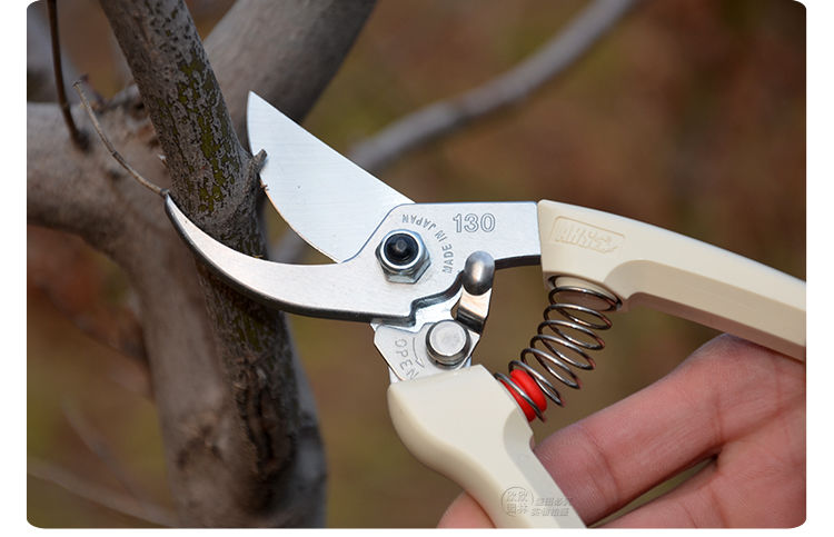 爱丽丝果树剪日本修枝剪爱丽斯ars130dx园艺手剪刀果树整枝剪- ars130