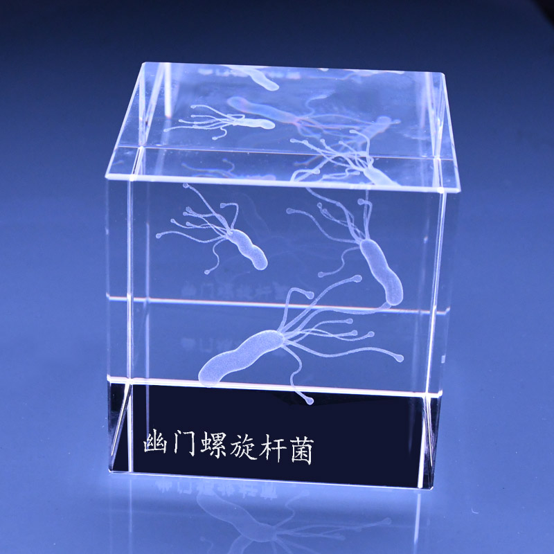 不舍天真生物标本模型 埃博拉病毒标本水晶内雕模型装饰摆件生物医学