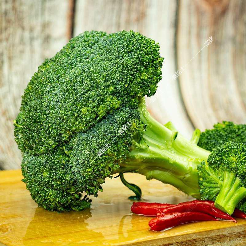 当季西兰花新鲜蔬菜叶菜类山东农家当季整箱青菜西蓝花菜 生鲜 5斤