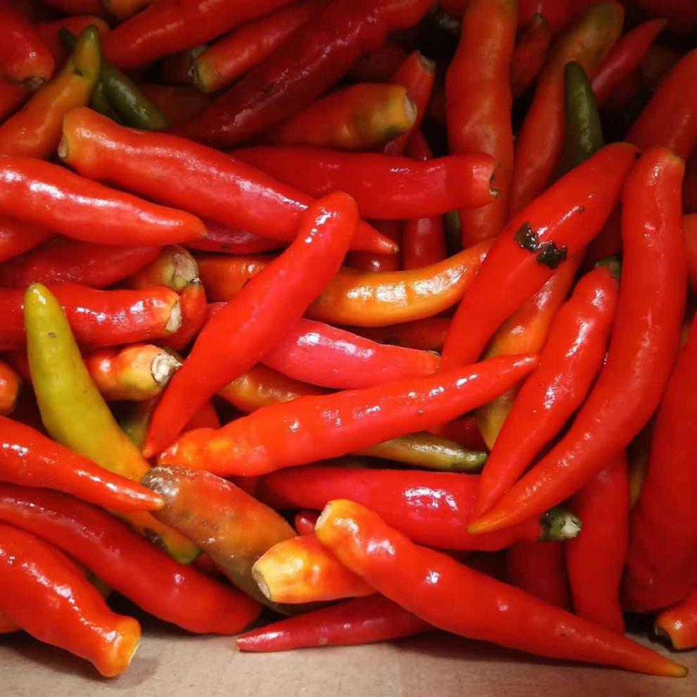 新鲜辣椒新鲜小米辣椒农家自种朝天椒天青小米椒 小红椒3斤装 泡沫箱