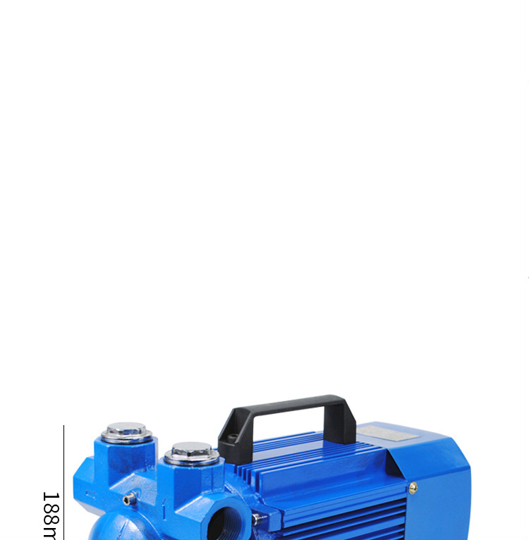 12v24v220v大流量防爆泵电瓶无刷电机静音抽油泵汽油柴油自吸抽油220