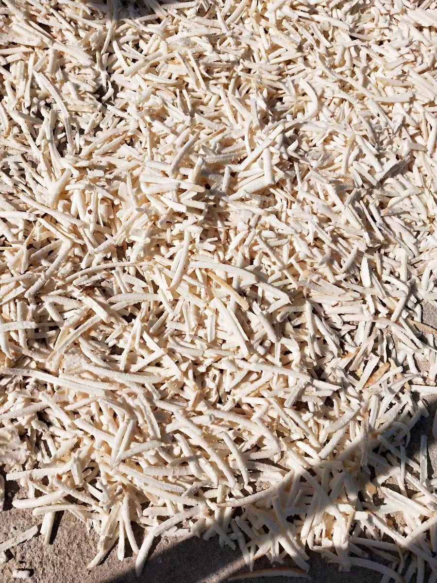 电动手摇刨丝机器蕃薯木薯南瓜红薯萝卜薯类家用农用切丝机擦丝机 刨