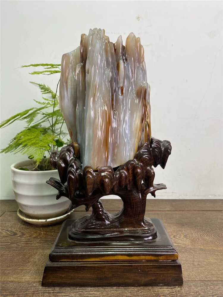 树化玉 玉石天然奇石原石装饰摆件冰种树化玉木化石观赏石景观石石头