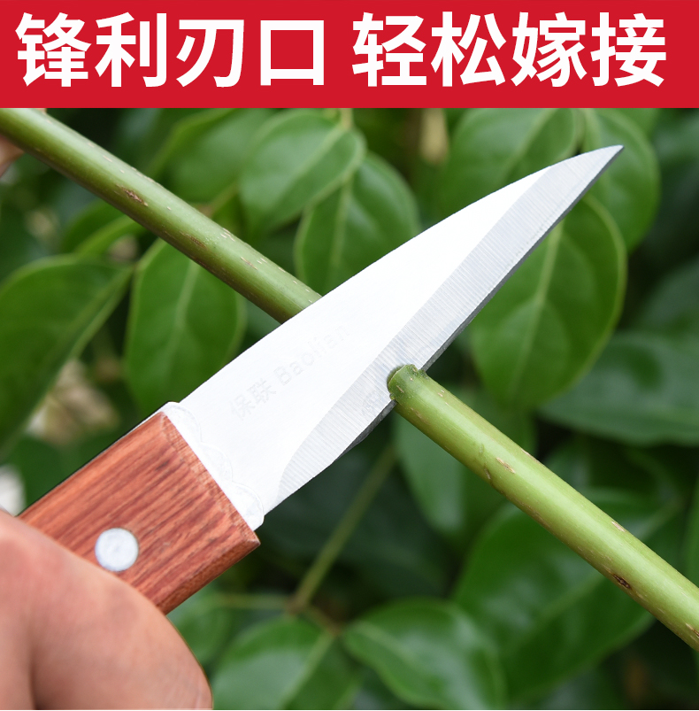 嫁接刀多功能手工刀果树粗树接树芽接刀园艺专用工具刀嫁接神器直身