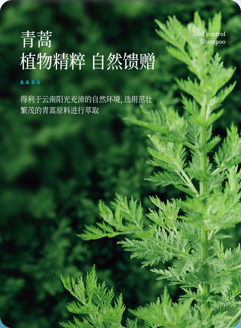 6b112e5b242da4ef.jpg